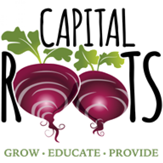 Agency Logo