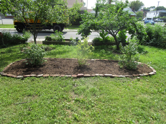 Agency Photo  (154818)