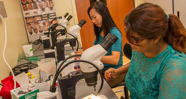 Agency Photo  (198921)