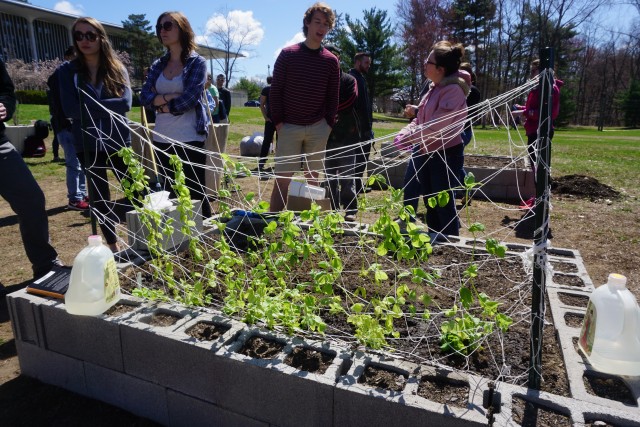 Agency Photo  (107430)