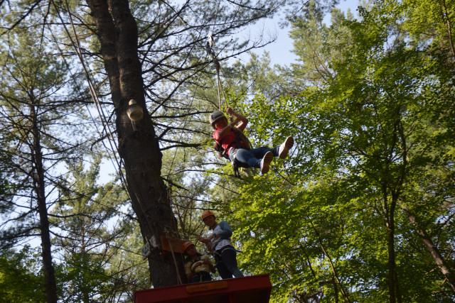 Agency Photo  (118819)