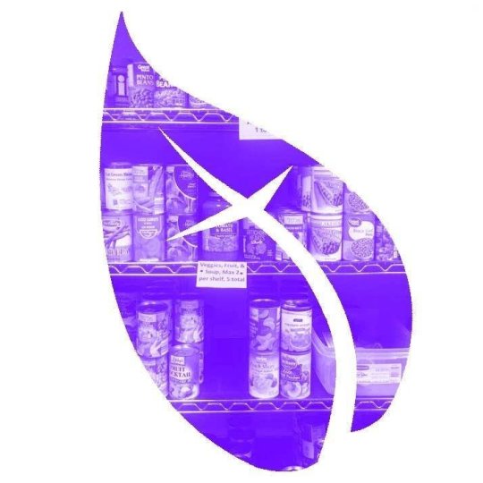 Agency Logo