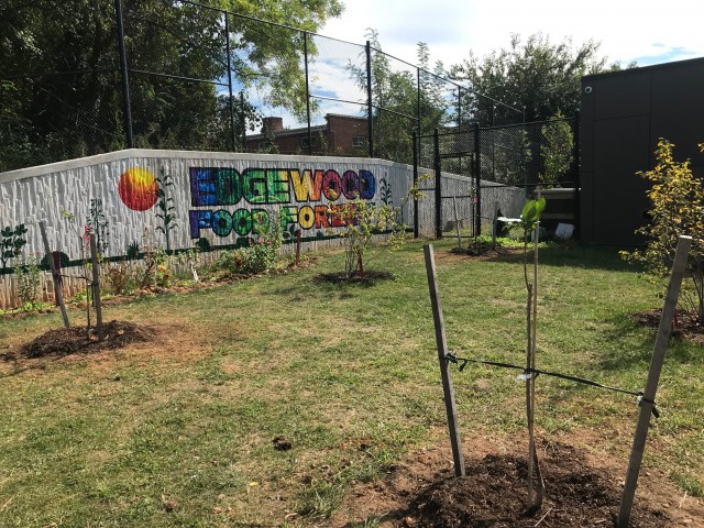 Organization Photo  (181993)