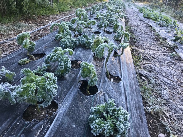 Organization Photo  (181997)