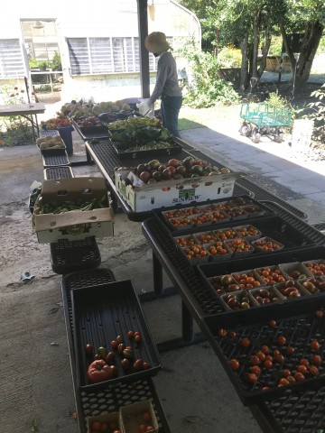 Organization Photo  (181994)