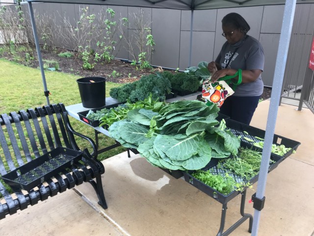 Organization Photo  (181998)