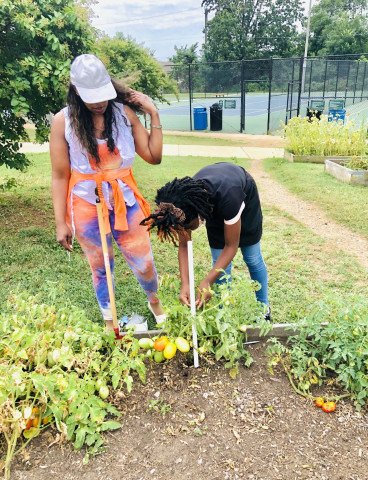 Organization Photo  (174054)