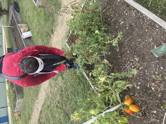 Organization Photo  (174062)