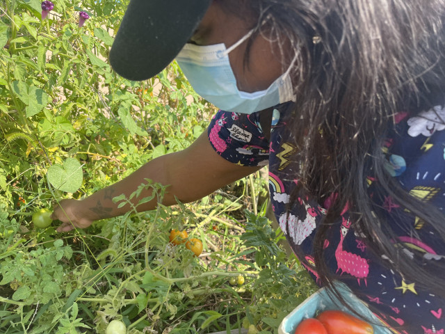 Organization Photo  (174057)