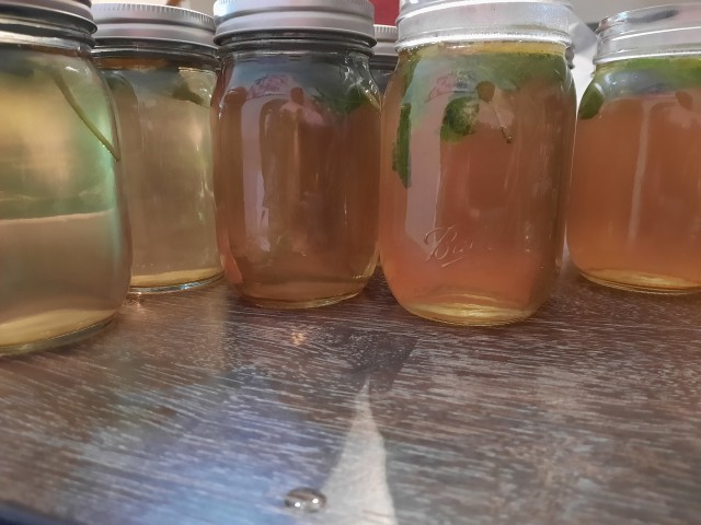 Organization Photo  (180880)