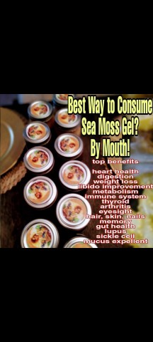 Organization Photo  (180879)