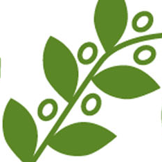 Organization Logo
