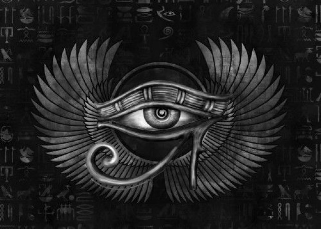 Organization Photo  (195565)