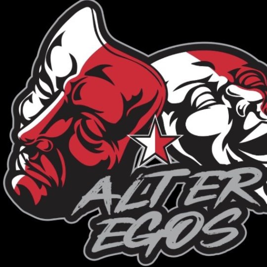Organization Logo