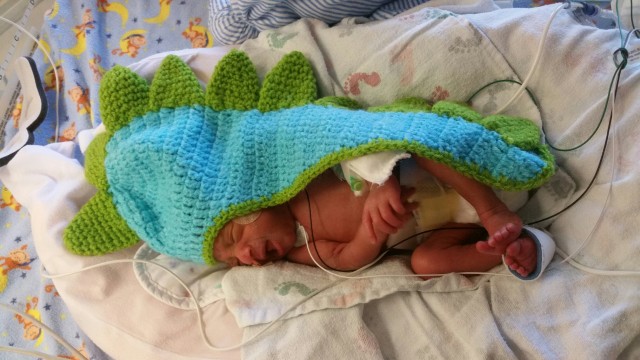 Agency Photo  (102610)