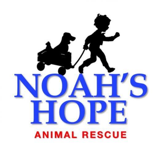 Agency Logo