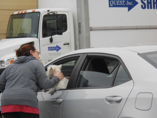 Agency Photo  (206098)