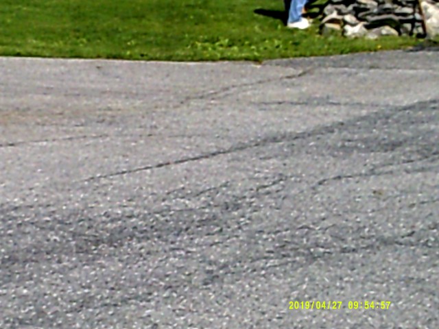 Agency Photo  (206088)