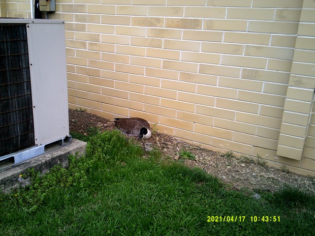 Agency Photo  (206075)