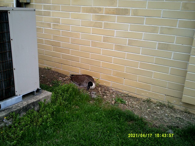 Agency Photo  (206076)