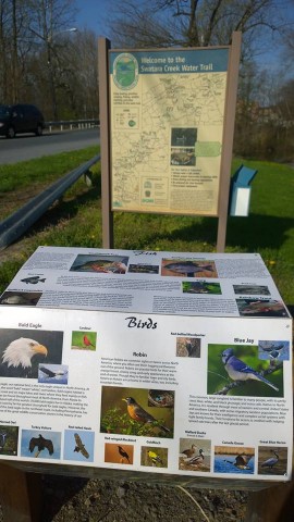 Agency Photo  (104356)