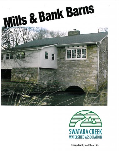 Agency Photo  (104354)