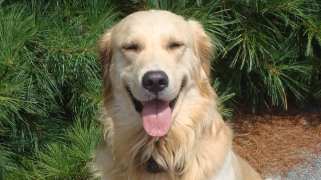 Agency Photo  (133971)