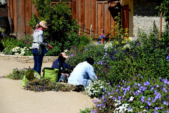 Agency Photo  (159963)