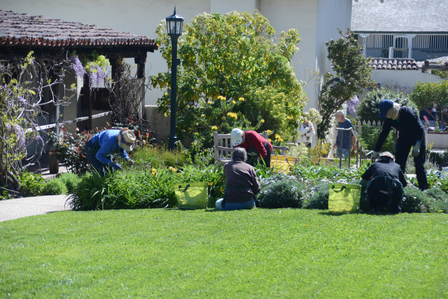 Agency Photo  (159965)