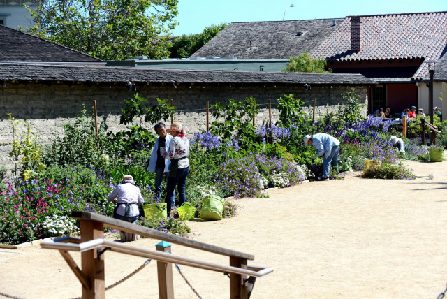 Agency Photo  (159966)