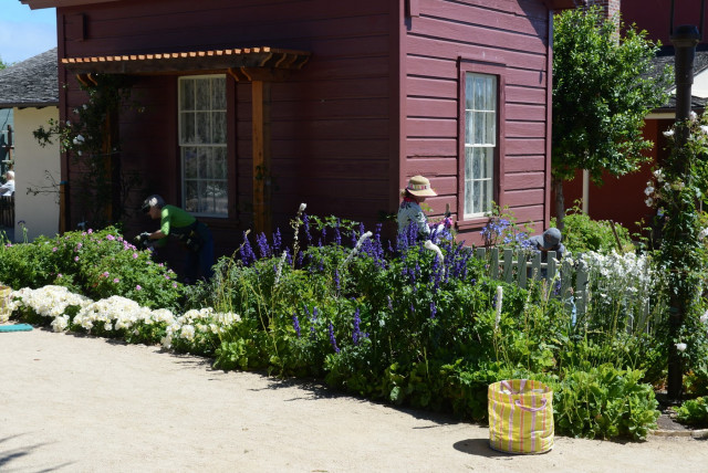 Agency Photo  (159967)