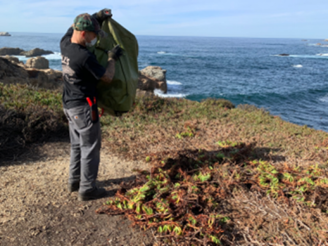 Agency Photo  (170547)