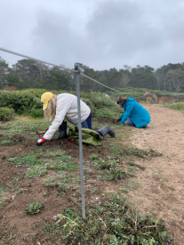 Agency Photo  (170550)