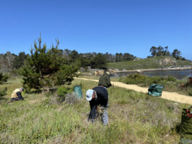 Agency Photo  (170552)