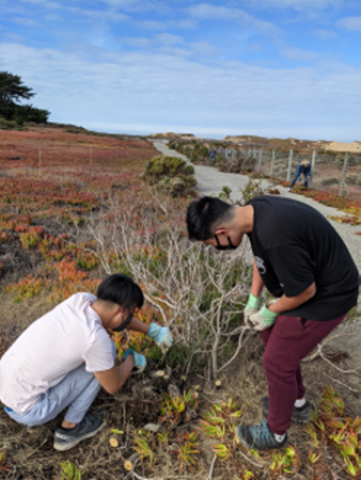 Agency Photo  (170549)