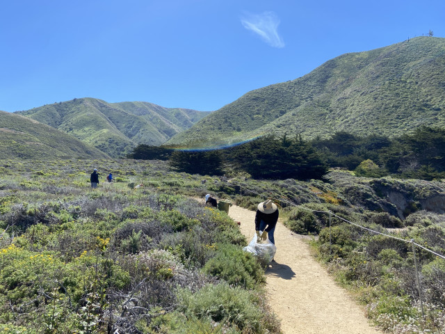 Agency Photo  (170541)