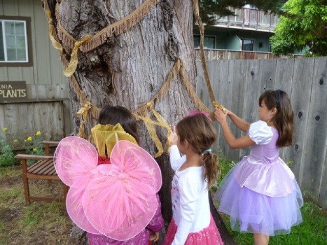 Agency Photo  (144705)