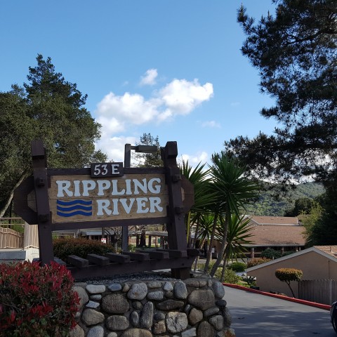 Agency Photo  (112937)