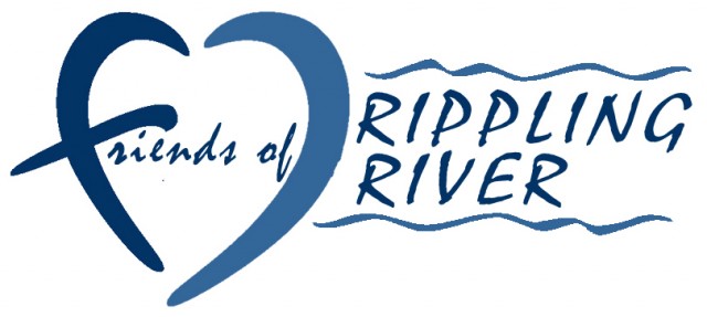 Agency Photo  (105540)