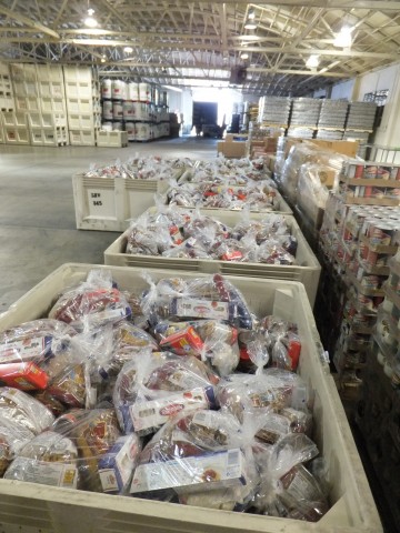 Agency Photo  (113490)