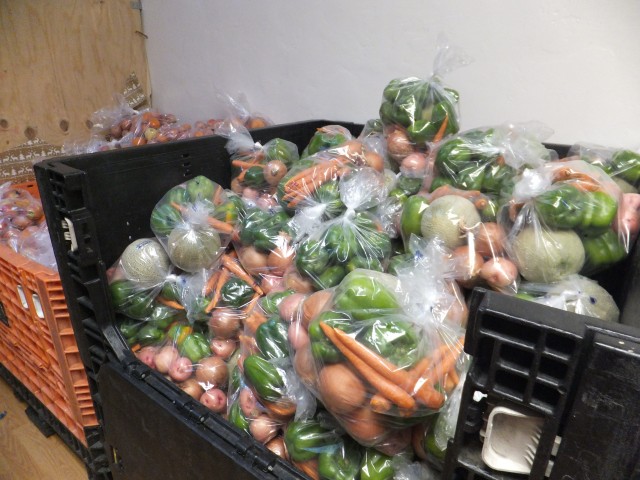 Agency Photo  (113488)