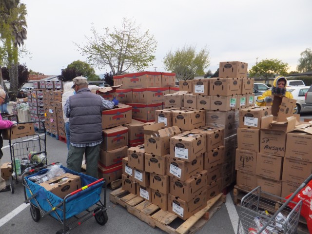 Agency Photo  (113489)