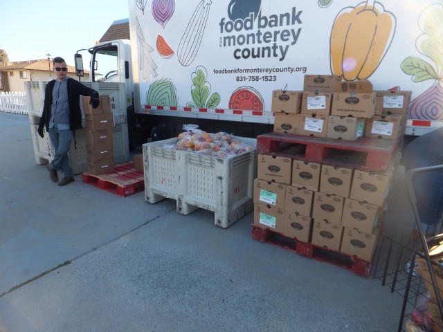 Agency Photo  (113487)