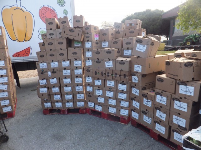 Agency Photo  (113486)