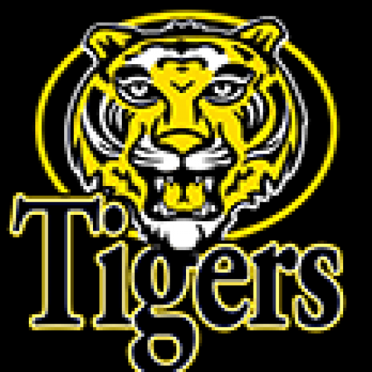 Program Logo