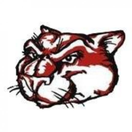 Program Logo