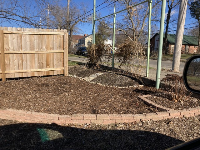 Organization Photo  (202195)