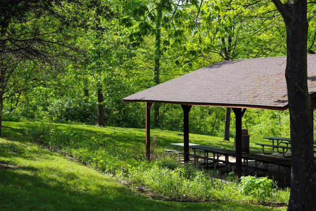 Organization Photo  (136308)