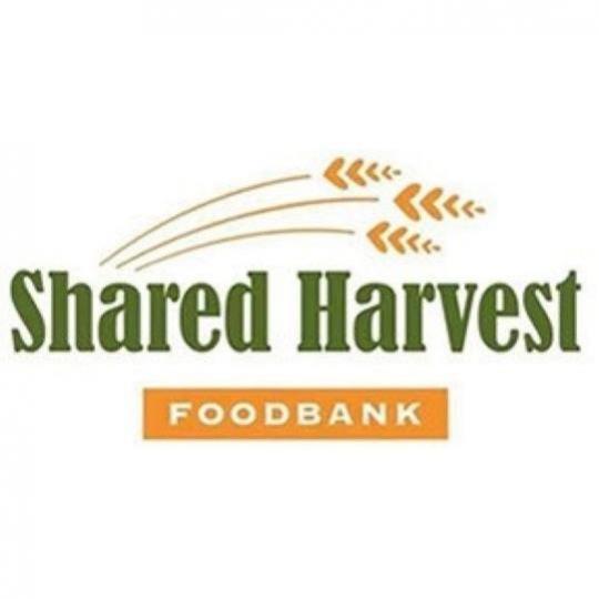 Organization Logo