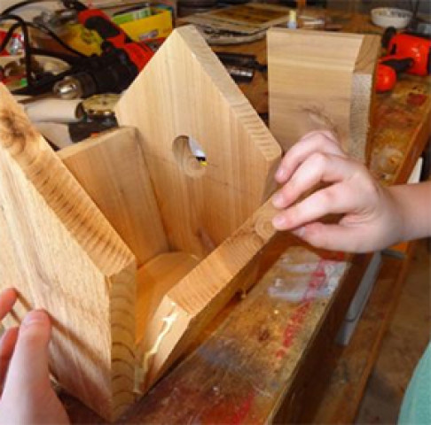 Organization Photo  (161480)